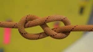 Figure-Eight-Survival-Knot