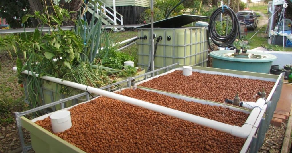 Building The Aquaponics System