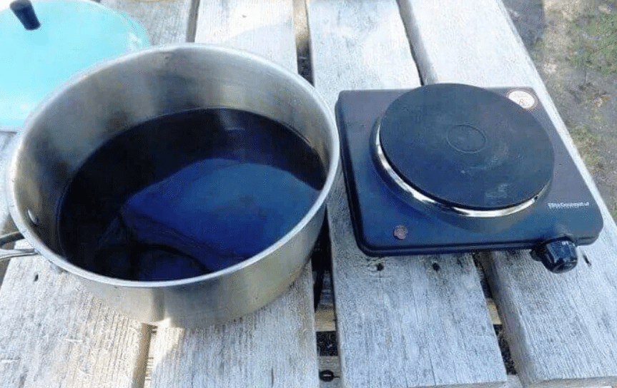 Dark-Brown-Sap-In-Pot