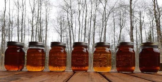 Jar-Of-Syrup-With-Reflected-Maples